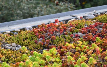 the cost of Hampton Hargate green roof installation