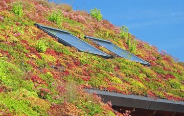 Hampton Hargate living roof systems